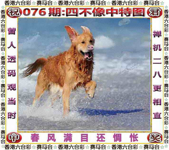 四不像中特图